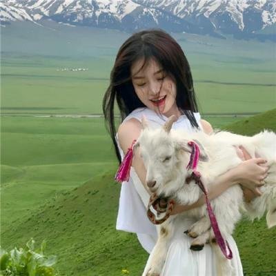 完美婚礼